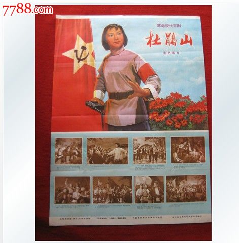 越南支持国际驾照吗